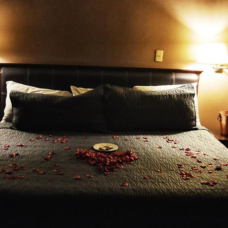 Hotel Flamingo Kristal 이라푸아토 외부 사진